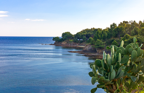 Scopri il Cilento e il meraviglioso villaggio vicino Agnone