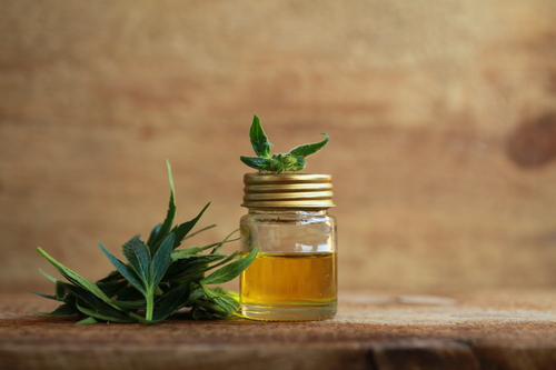 Ricette con Olio cbd: come usare l'olio derivato dalla cannabis